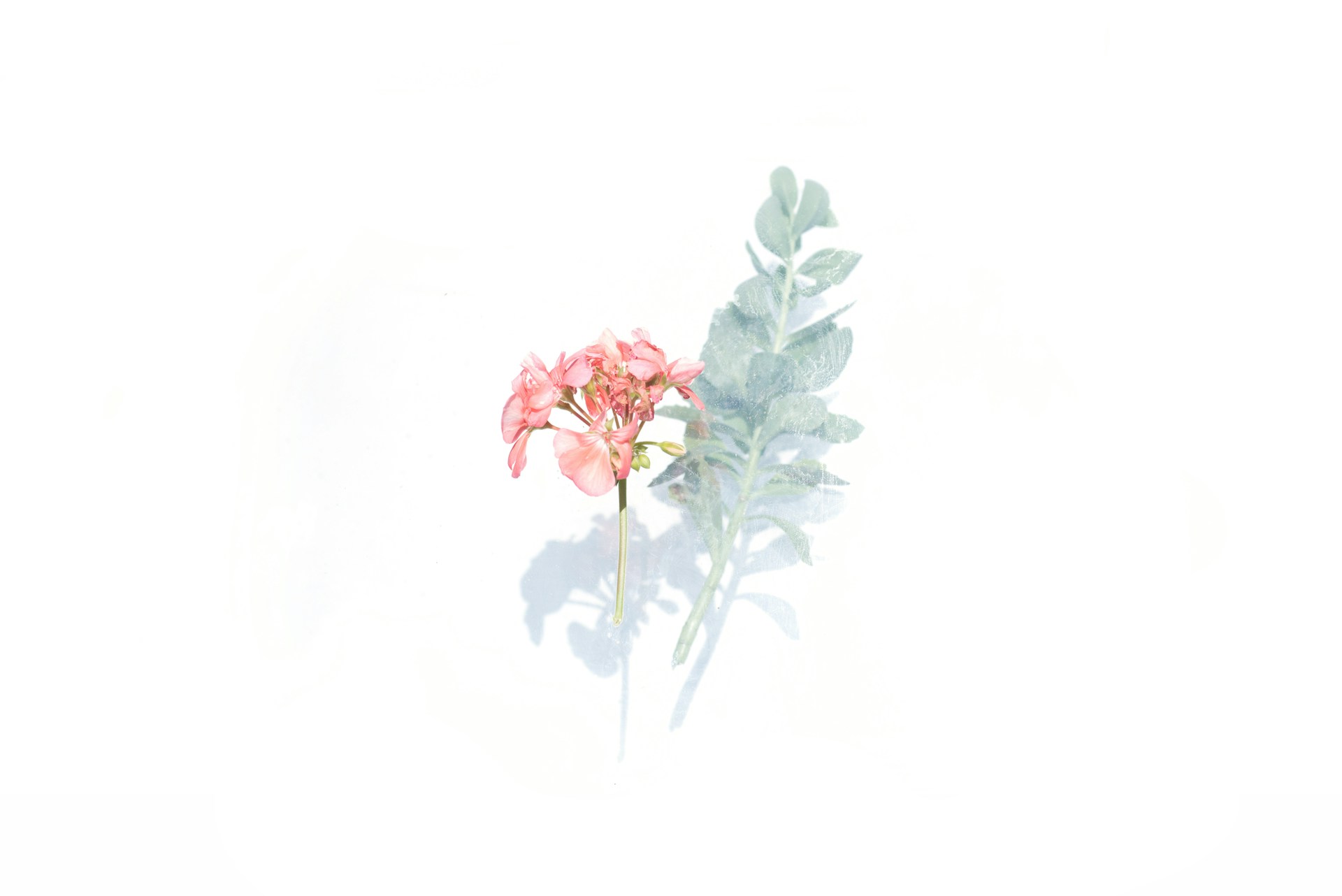 Image default